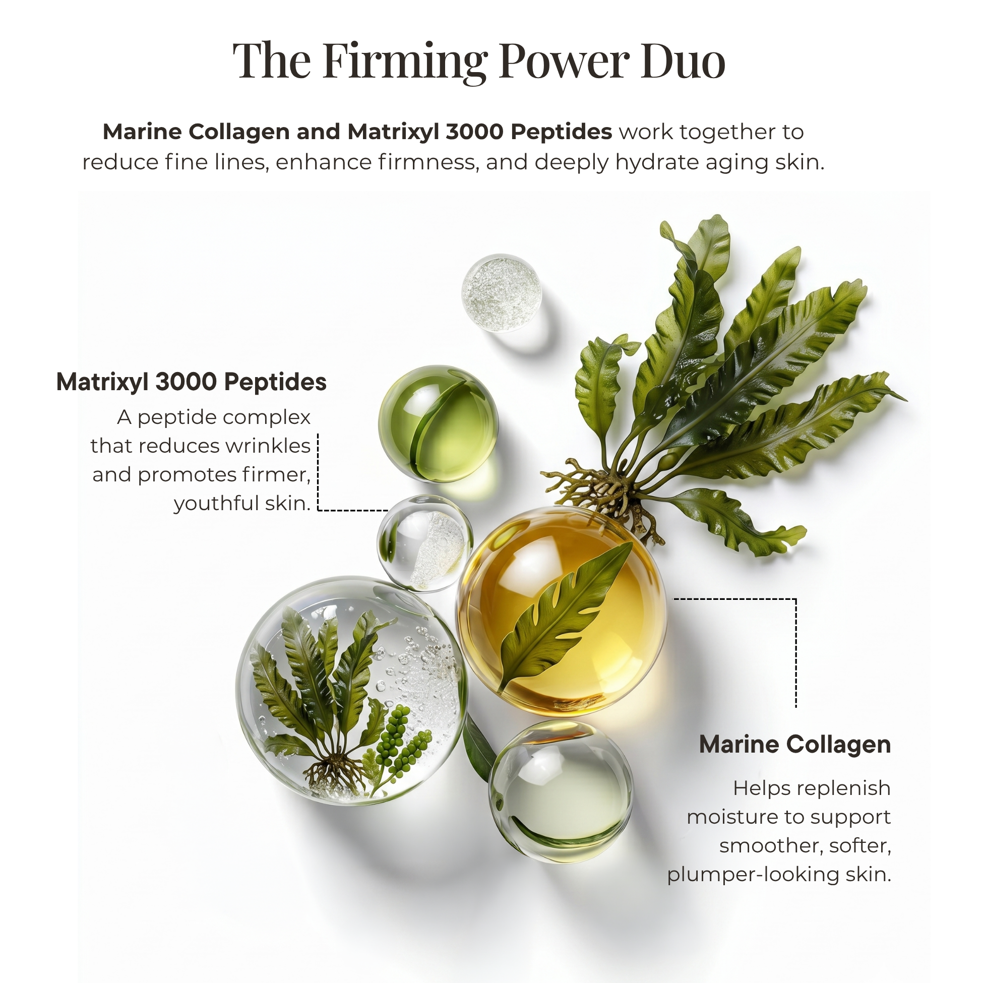 Collagen Plus Peptide Duo Serum Advertisement for a skincare product featuring marine collagen and Matrixyl 3000 Peptides with green leaves and clear liquids on a white background.